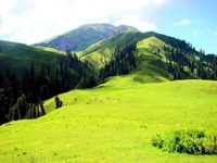 Shogran Pakistan